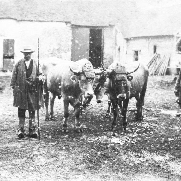 Peintres de l'école de Crozant De Tendu au Fay Le domaine du Fay, dépendances et environs custom text