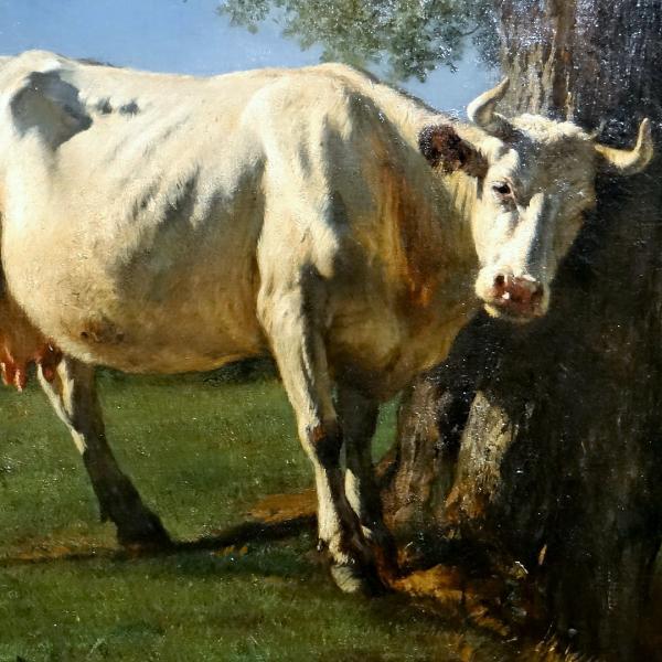 Peintres de l'école de Crozant Troyon Constant Contant Troyon - Vache qui se gratte custom text