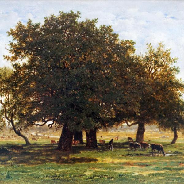 Peintres de l'école de Crozant Rousseau Théodore Théodore Rousseau - Chênes d'Apremont custom text